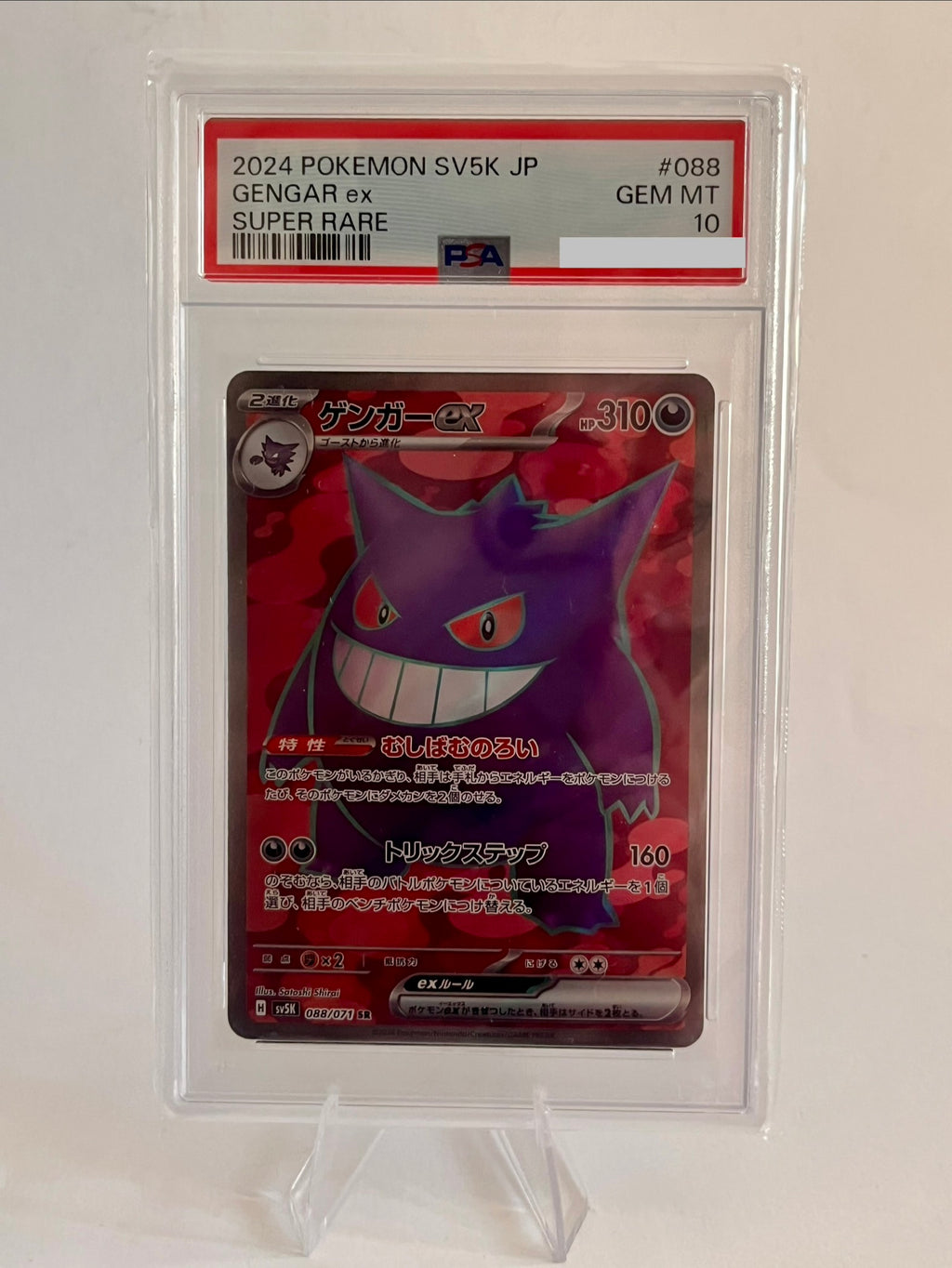 Mystery Slab Pokémon