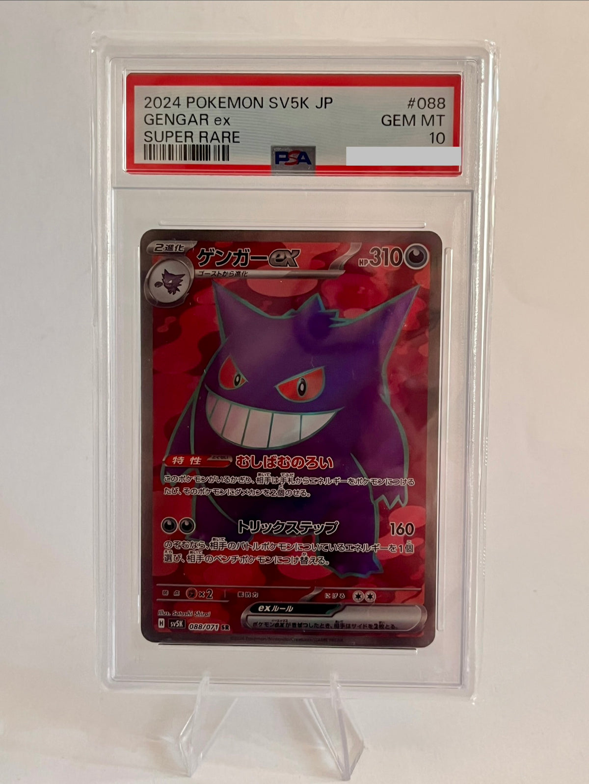 Mystery Slab Pokémon